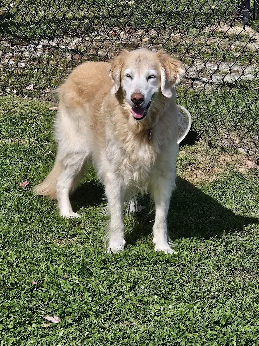 North Jersey Animal Hospital Picture 5