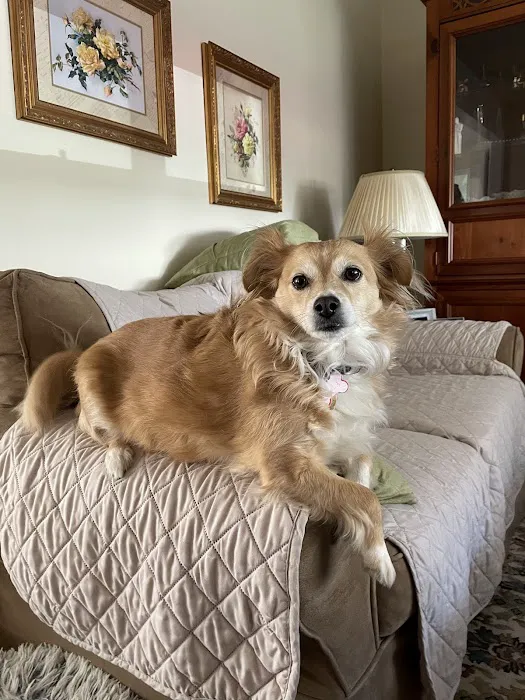 North Jersey Animal Hospital Picture 9