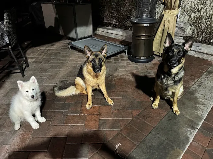 North Jersey Animal Hospital Picture 10