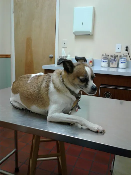 North Jersey Animal Hospital Picture 7