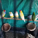 Wayne Valley Animal Hospital