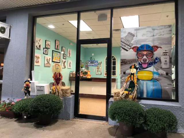 Wayne Valley Animal Hospital Picture 3