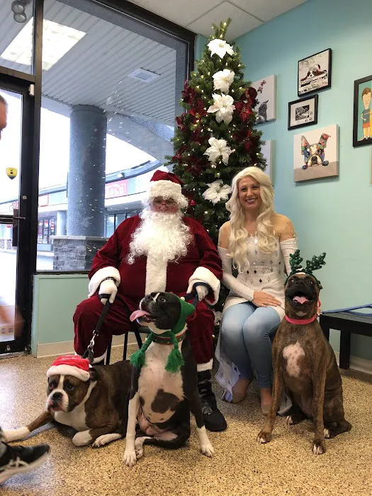 Wayne Valley Animal Hospital Picture 8