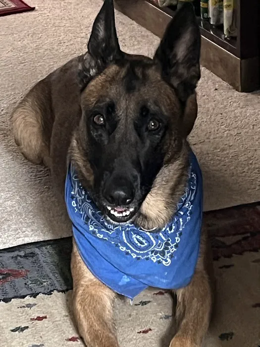 Legacy Animal Hospital Picture 9