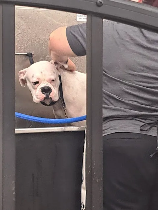 Pet Supplies Plus Southgate Picture 6