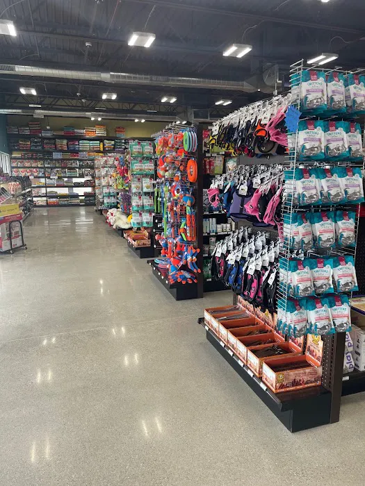 Premier Pet Supply Picture 8