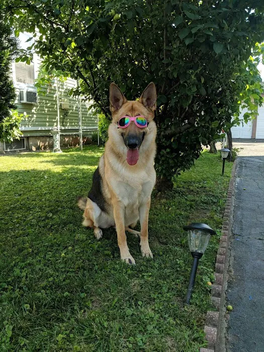 Belleville Animal Hospital Picture 7