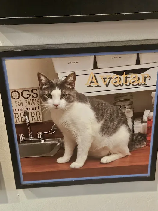 Belleville Animal Hospital Picture 9