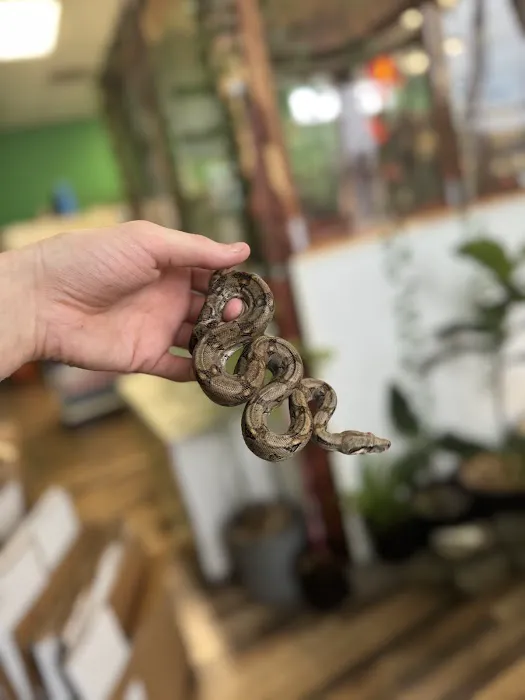 Custom Creatures Pet Shop Picture 8