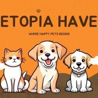 Petopia haven hub ico