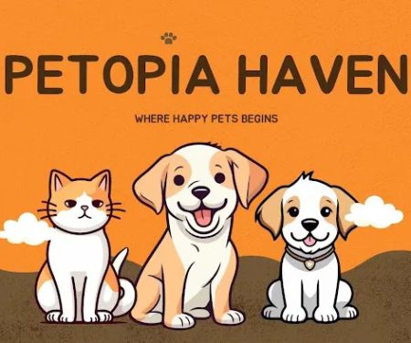 Petopia haven hub
