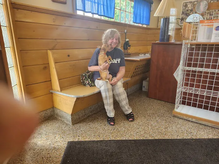 Cedar Grove Animal Hospital Picture 4