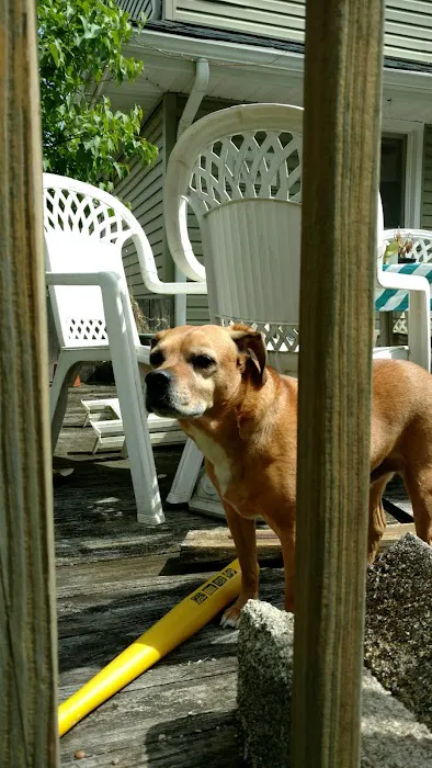 Cedar Grove Animal Hospital Picture 2
