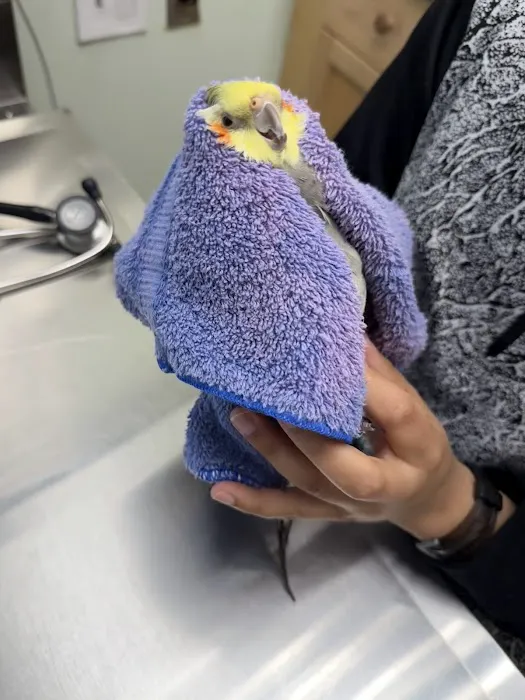 Paws, Wings & Scales Animal Hospital Picture 3