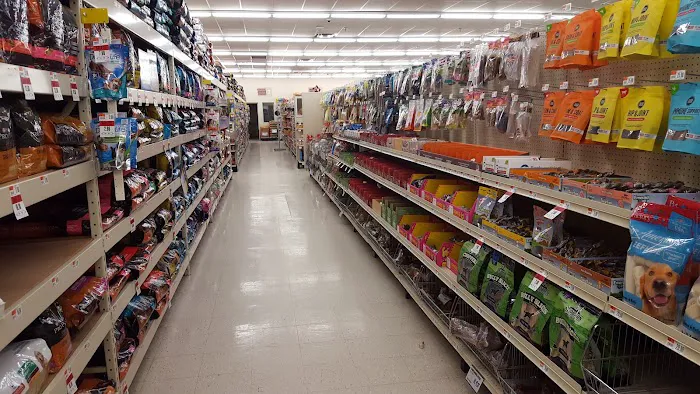 Pet Supplies Plus Bay City Picture 5
