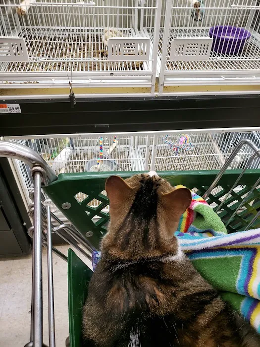 Pet Supplies Plus Bay City Picture 10