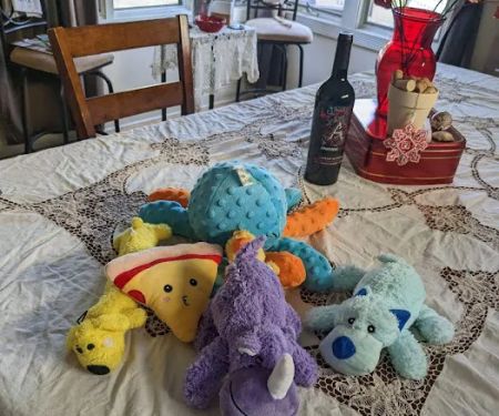 Pet Supplies Plus Bay City