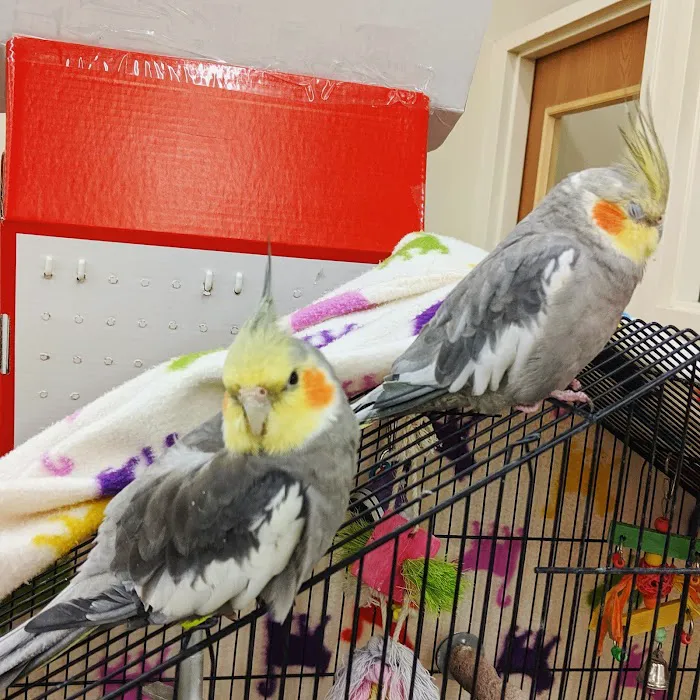 Pet Supplies Plus Bay City Picture 6