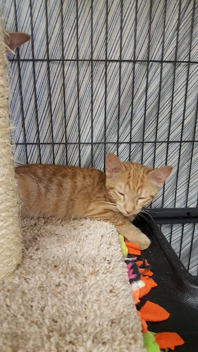 Pet Supplies Plus Bay City Picture 3