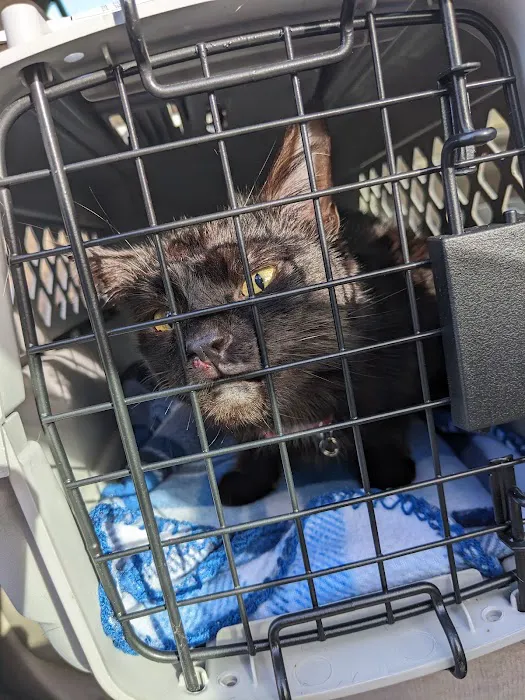 Wayne Hills Animal Hospital Picture 6