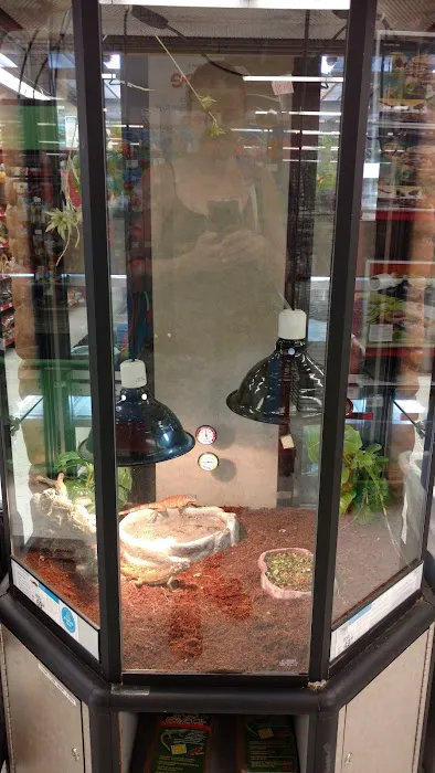 Petco Picture 8