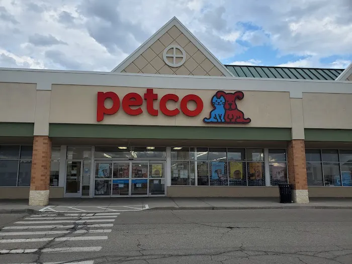 Petco Picture 2