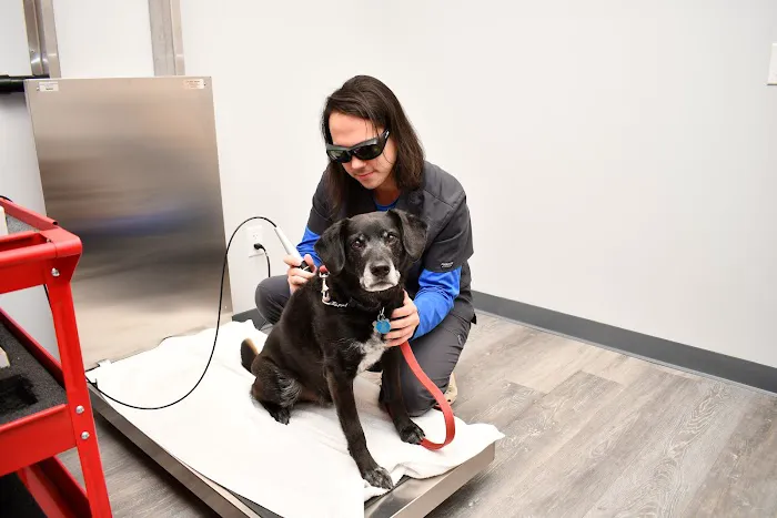 Tri-County Animal Hospital Picture 2