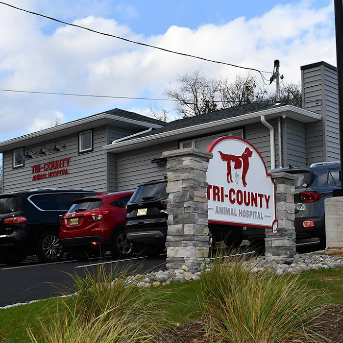 Tri-County Animal Hospital Picture 8