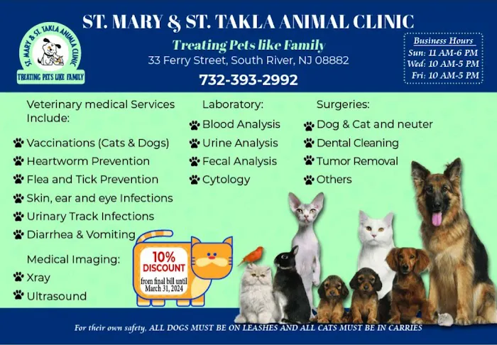 St Mary and St Takla Animal Clinic Picture 7