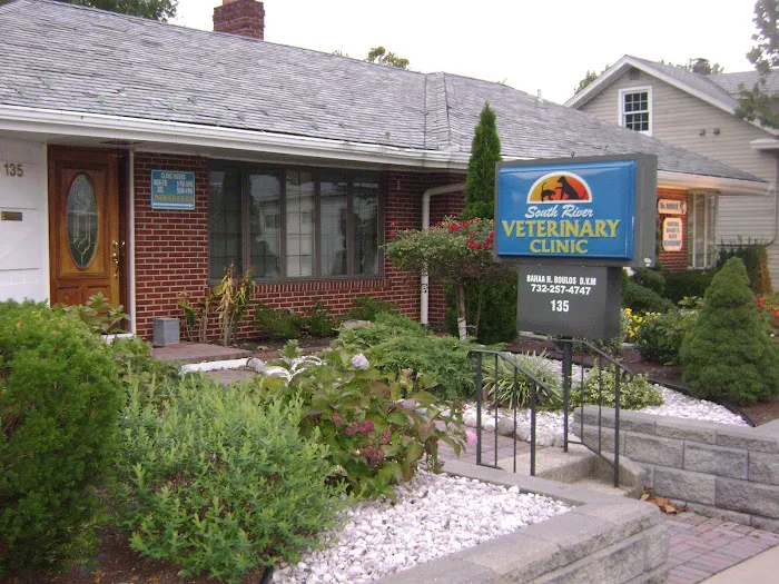 South River Veterinary Clinic Picture 3