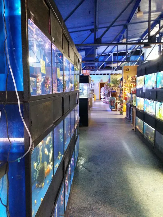 Preuss Pets Picture 9