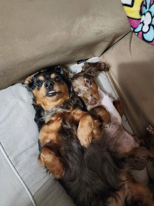 Banfield Pet Hospital Picture 5