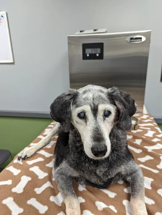 Raritan Animal Hospital Picture 2