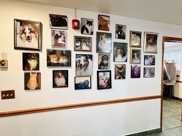 Matawan Animal Hospital Picture 2