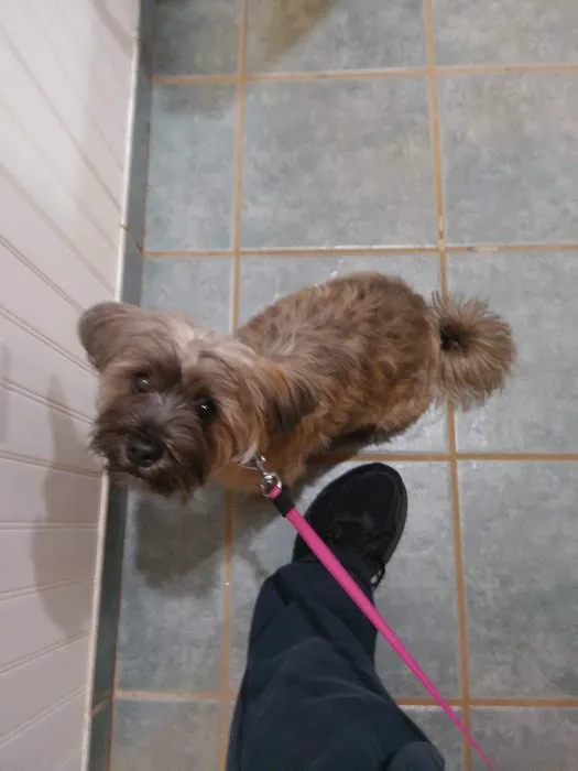 Matawan Animal Hospital Picture 10