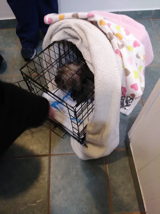 Matawan Animal Hospital Picture 9