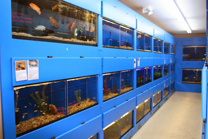 Aquatic Treasures/Bruces Pond Shop Picture 2