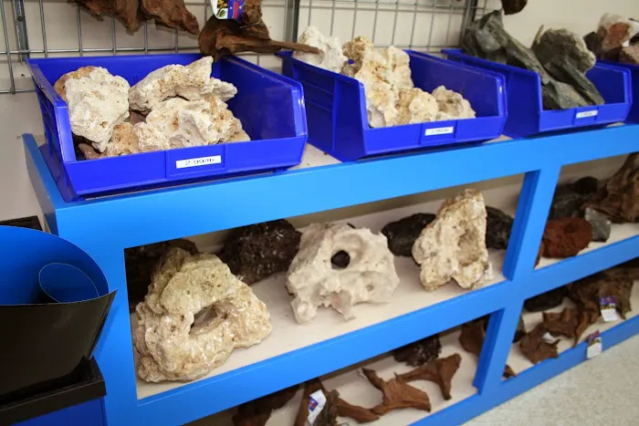 Aquatic Treasures/Bruces Pond Shop Picture 10