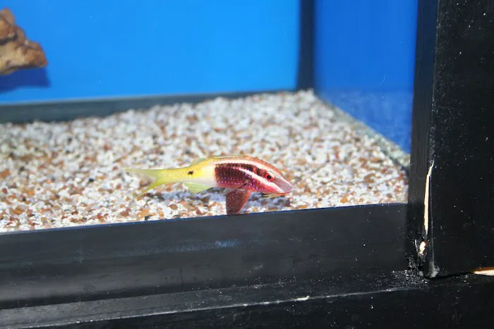 Aquatic Treasures/Bruces Pond Shop Picture 5