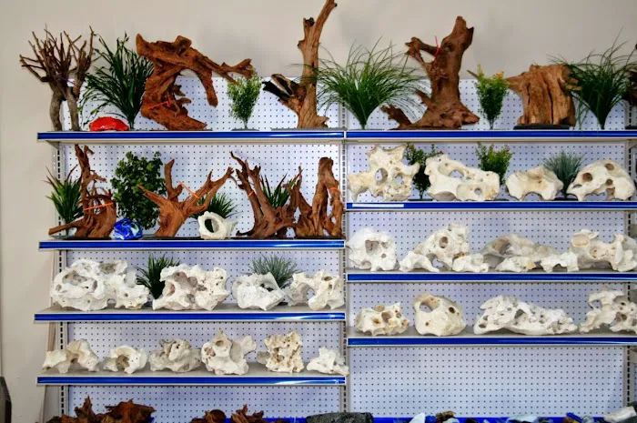 Aquatic Treasures/Bruces Pond Shop Picture 8