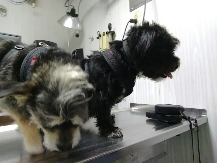 Berg Animal Hospital Picture 6