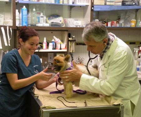 Berg Animal Hospital