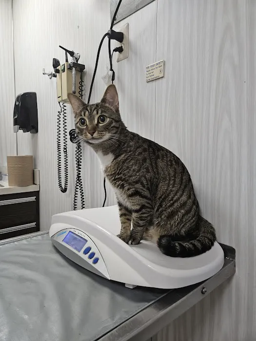 Berg Animal Hospital Picture 5