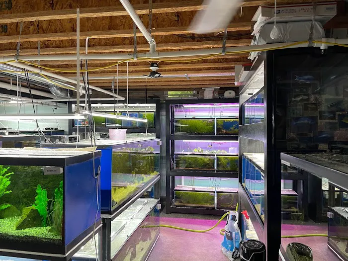 Cunningham Tropicals, LLC Picture 10