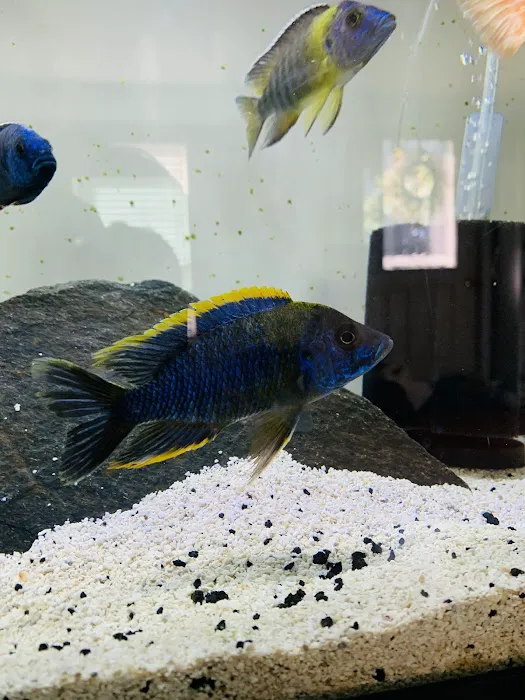 Cunningham Tropicals, LLC Picture 8