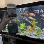 Cunningham Tropicals, LLC