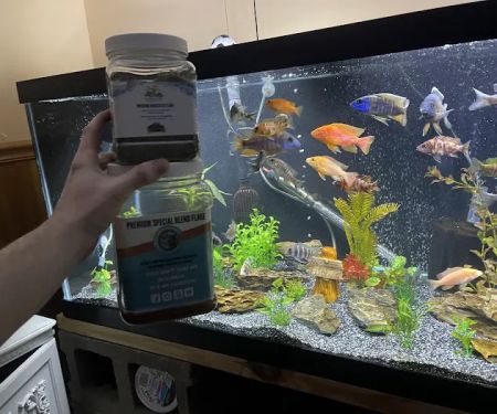 Cunningham Tropicals, LLC
