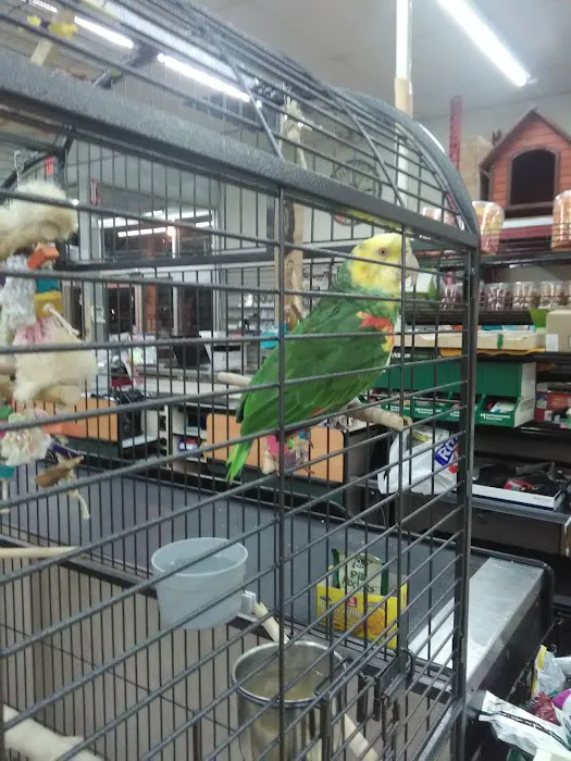 I Love My Pets Picture 5