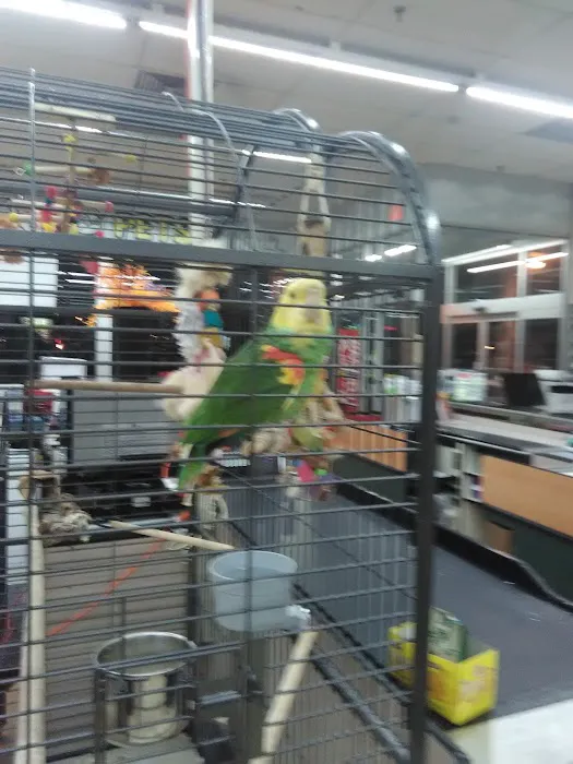 I Love My Pets Picture 4