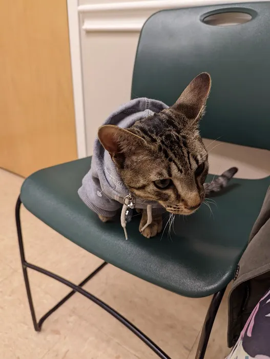 Route 516 Animal Hospital Picture 7